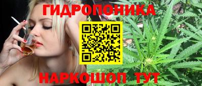 гашик Обь
