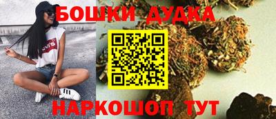 PSILOCYBIN Кудрово