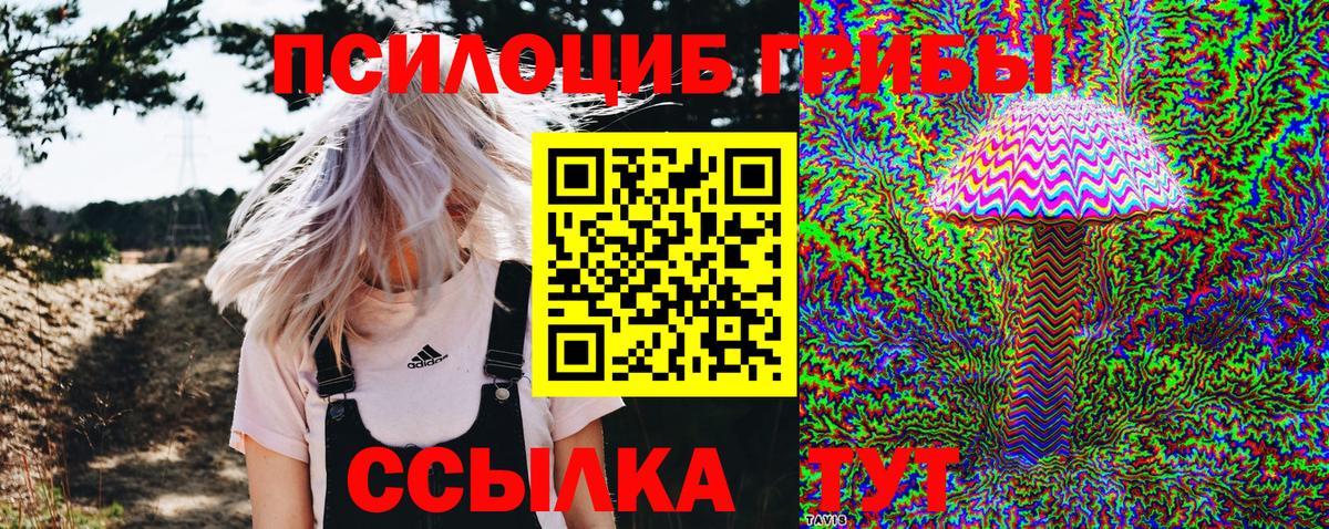 Псилоцибиновые грибы прущие грибы Советский